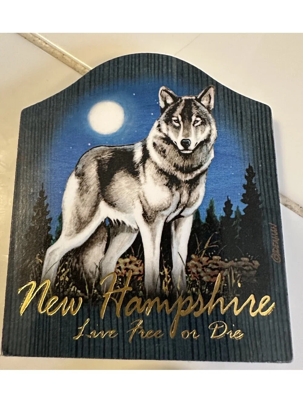 Set Of 5 Vintage New Hampshire Refrigerator Magnets Wolf Cover Bridge Elk Bear